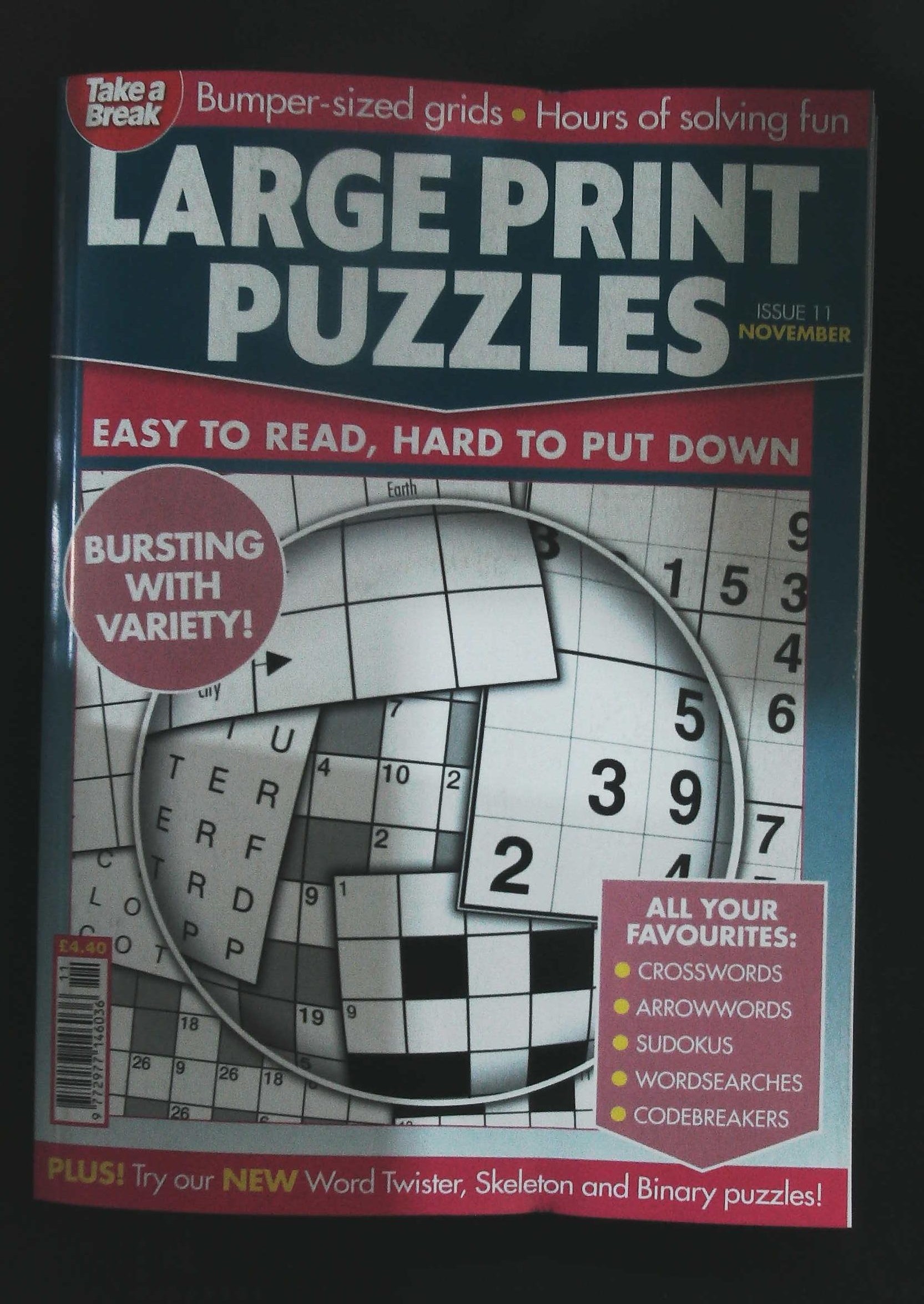 TAKE A BREAK LARGE PRINT PUZZLES