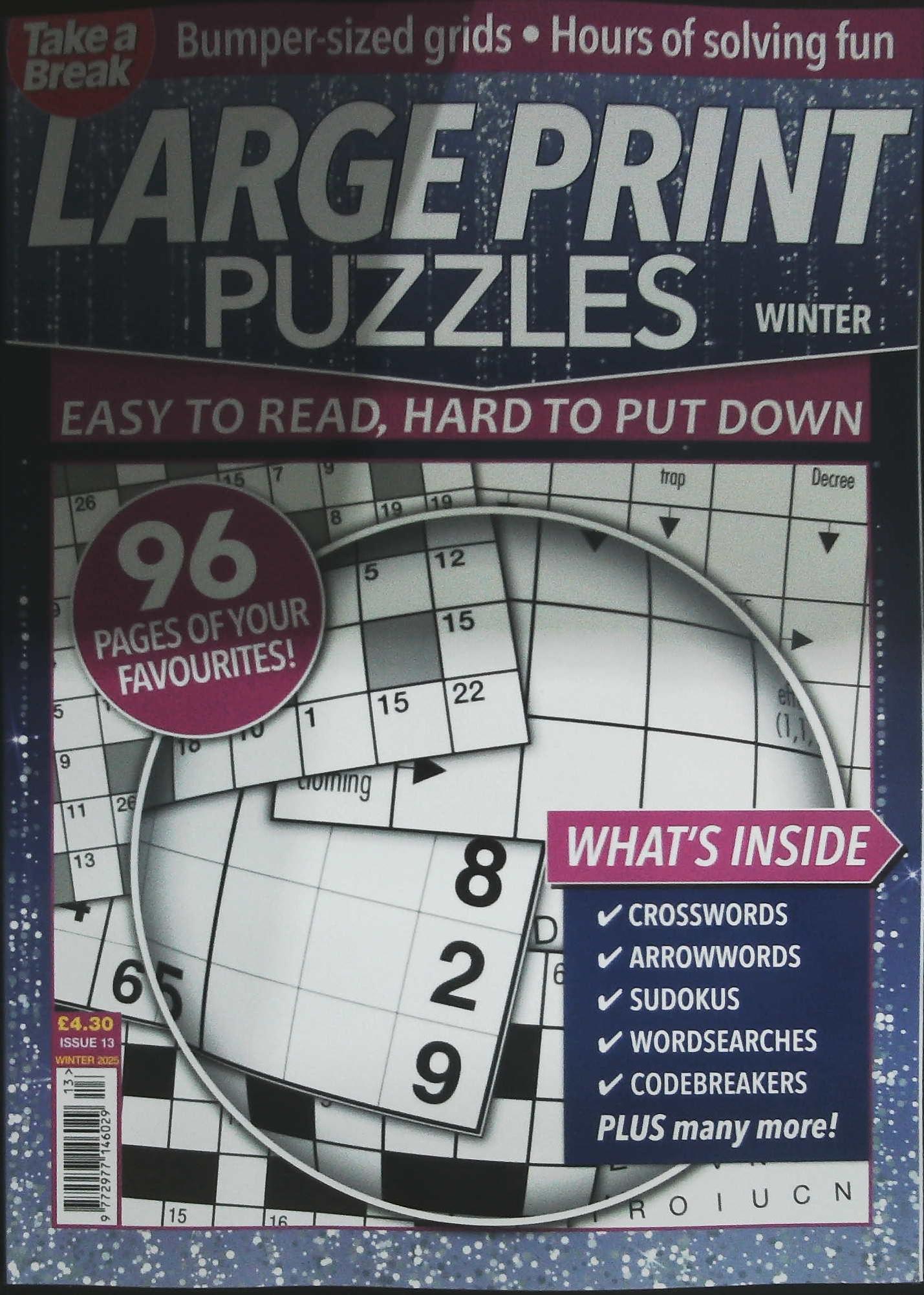 TAKE A BREAK LARGE PRINT PUZZLES