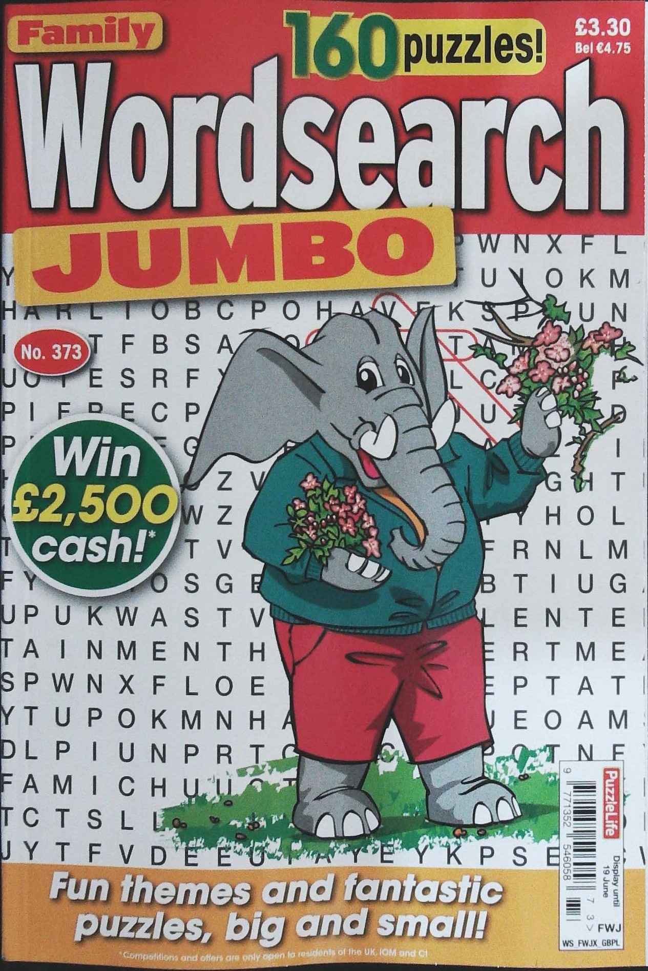 FAMILY WORDSEARCH JUMBO