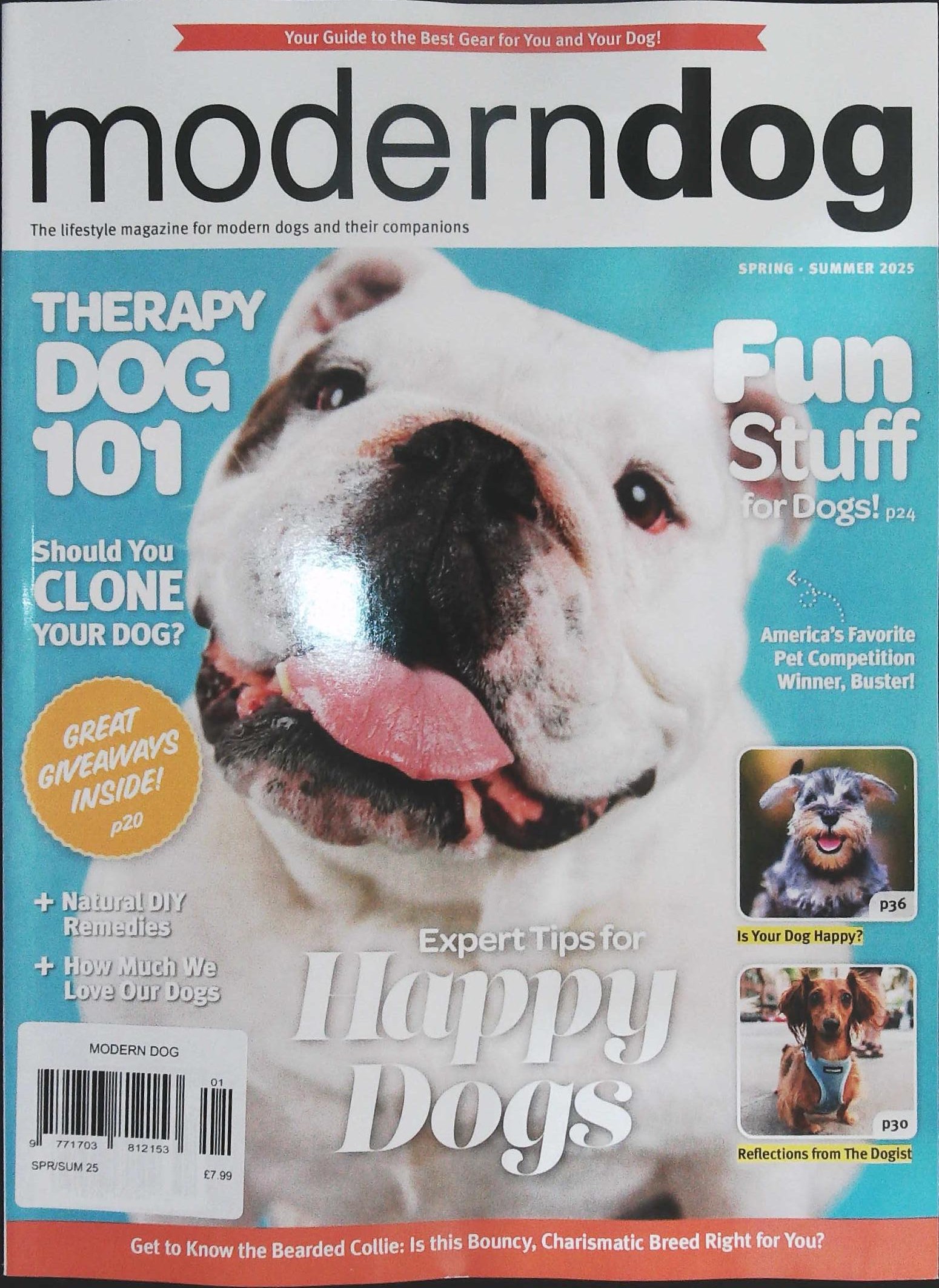 MODERN DOG