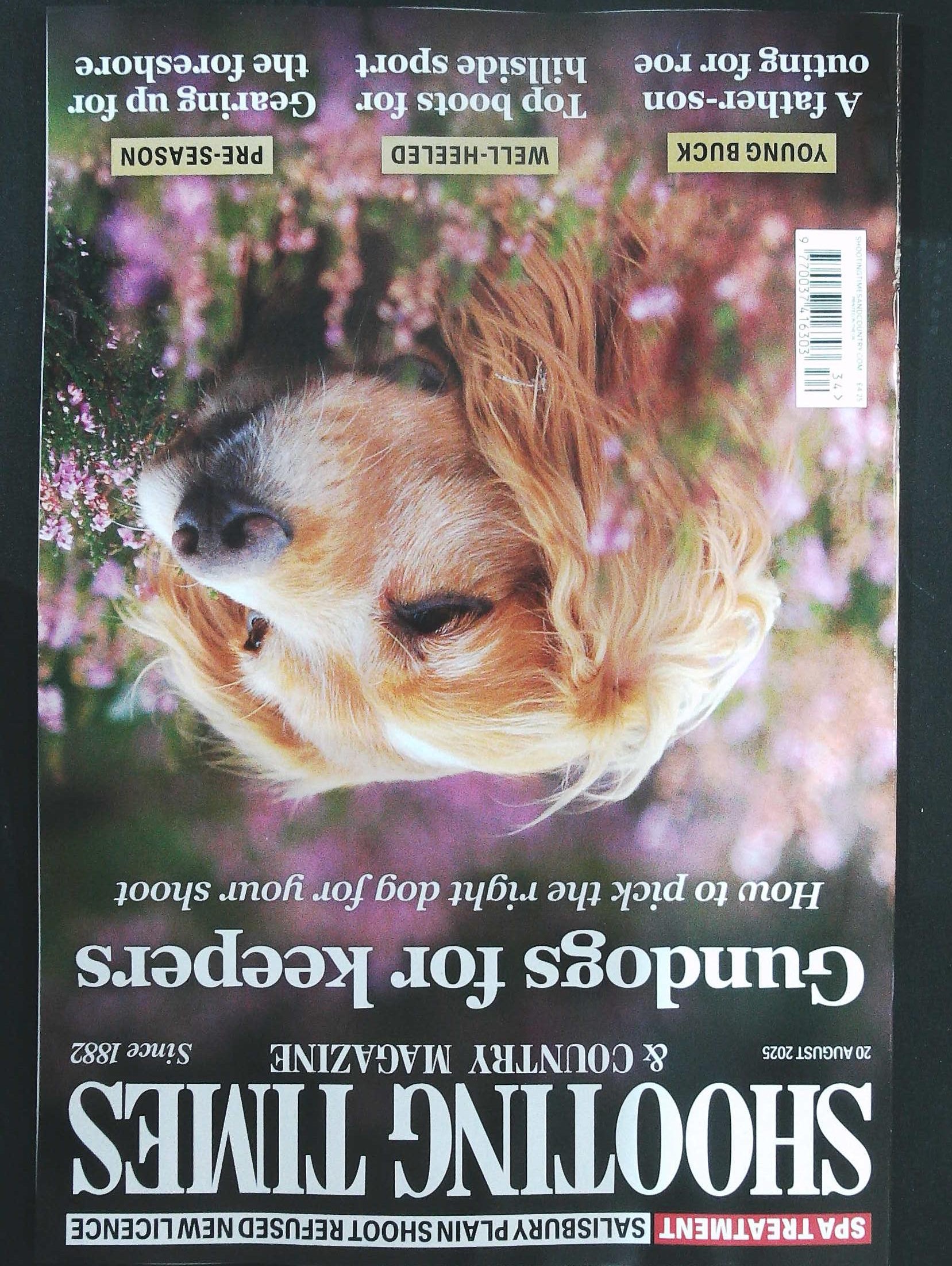 SHOOTING TIMES & COUNTRY MAGAZINE