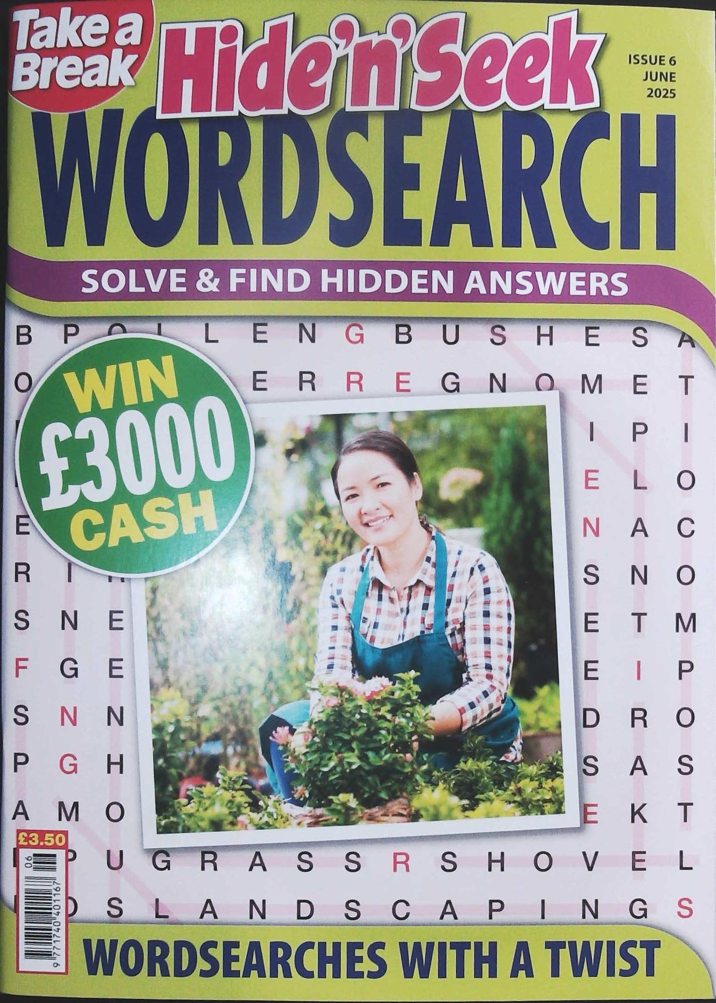 TAKE A BREAK HIDE N SEEK WORDSEARCH