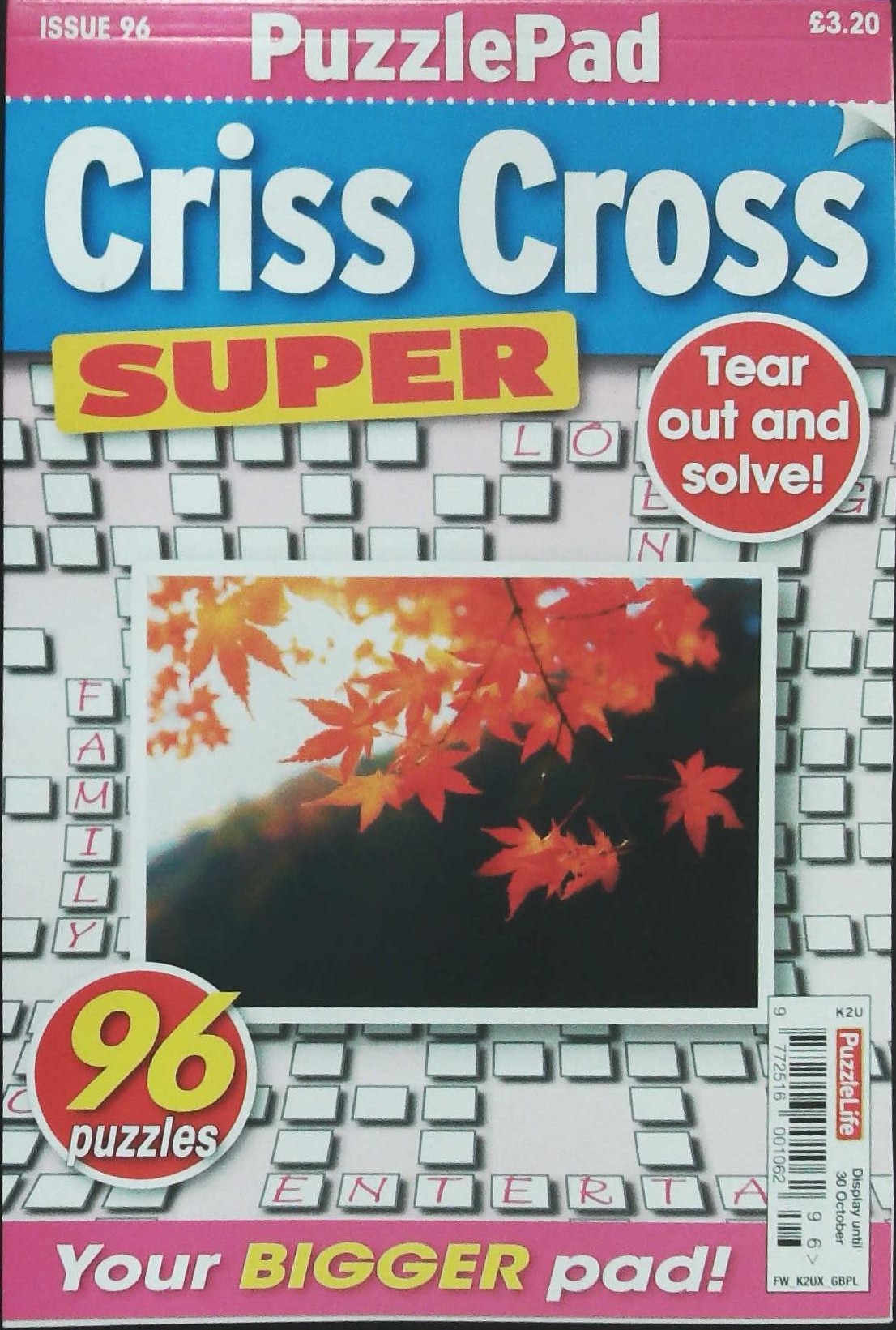 PUZZLEPAD CRISS CROSS SUPER