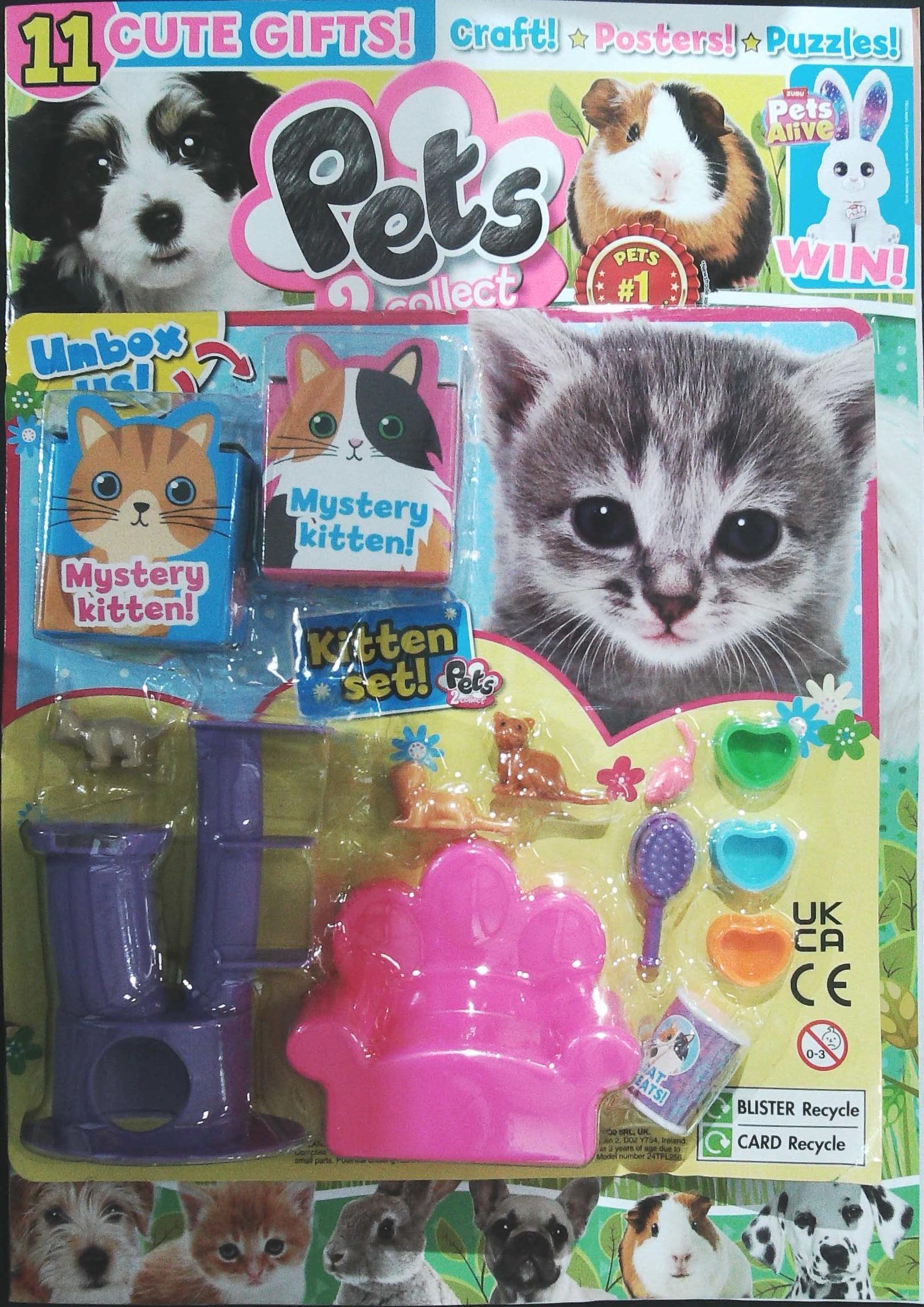 PETS 2 COLLECT