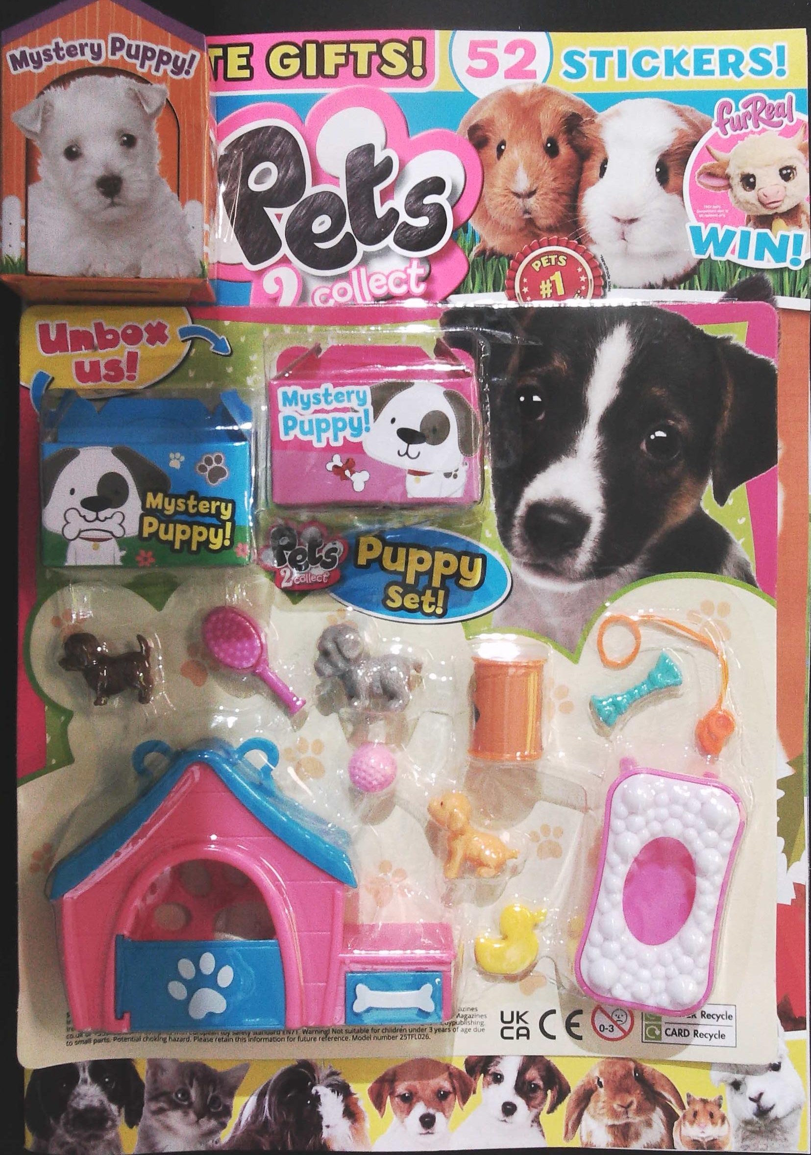 PETS 2 COLLECT