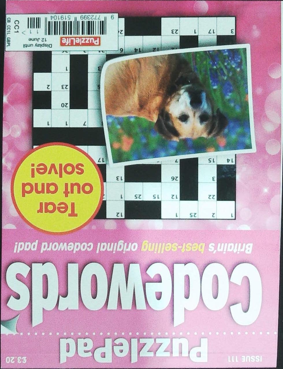 PUZZLELIFE PUZZLEPAD CODEWORDS