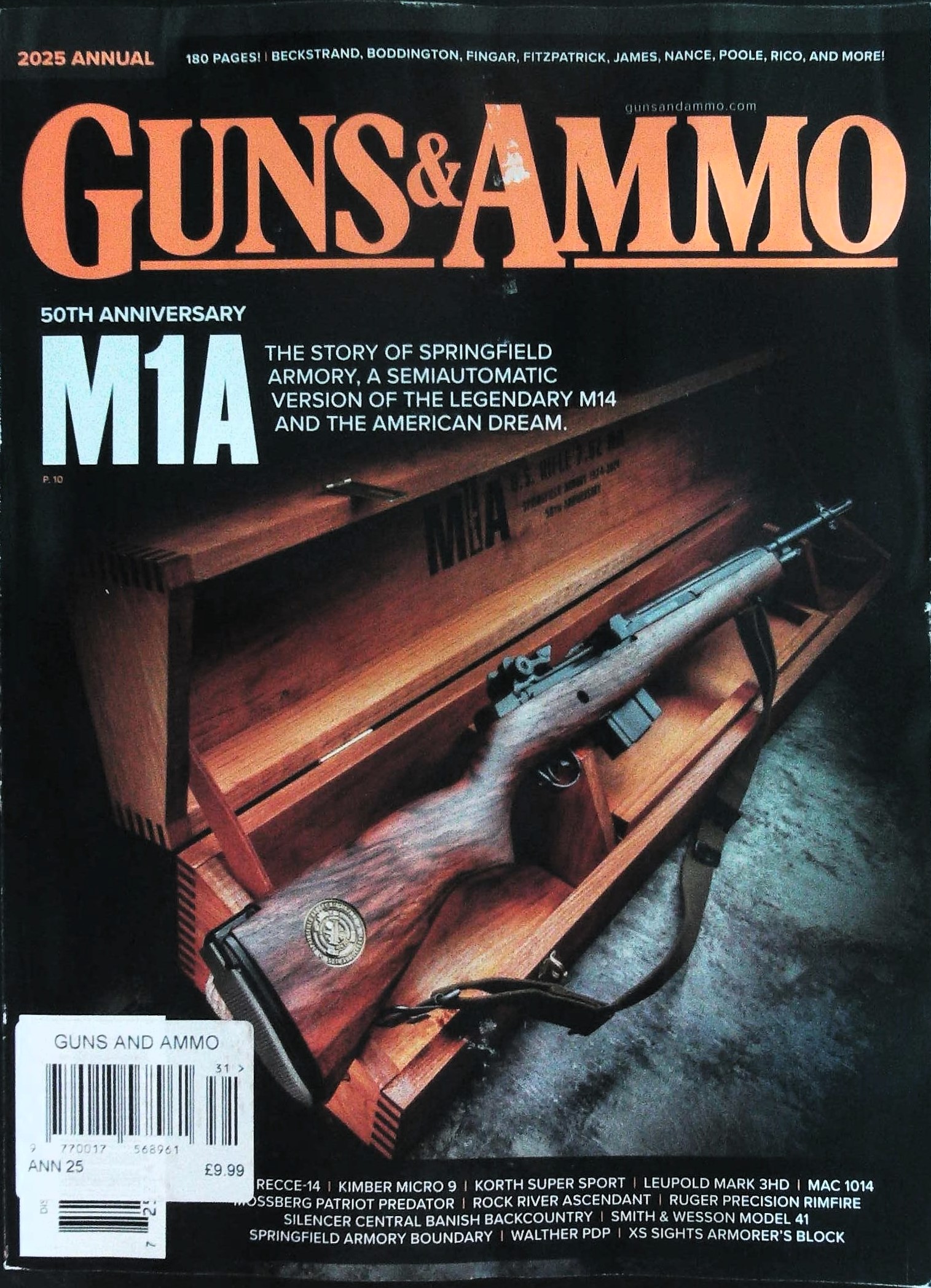 GUNS AND AMMO (USA)