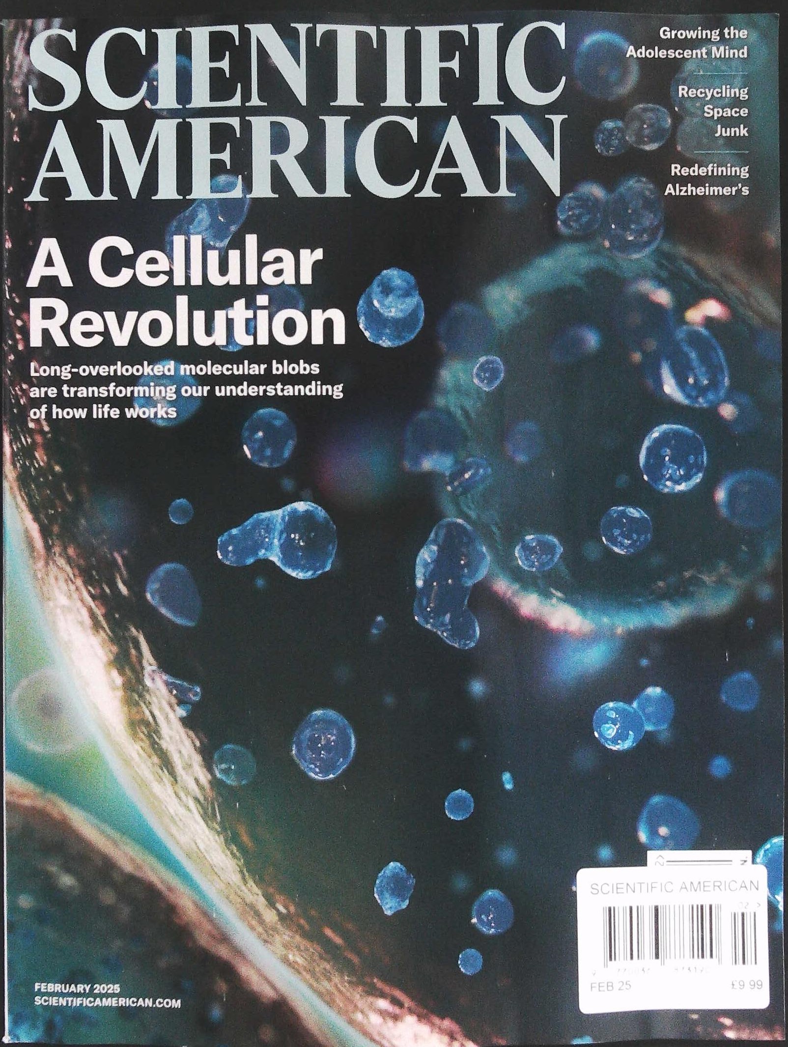 SCIENTIFIC AMERICAN