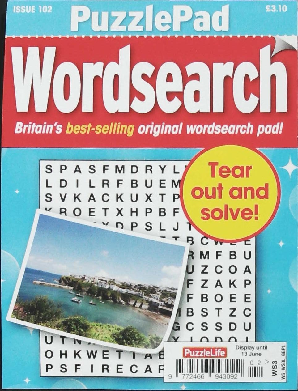 PUZZLELIFE PPAD WORDSEARCH