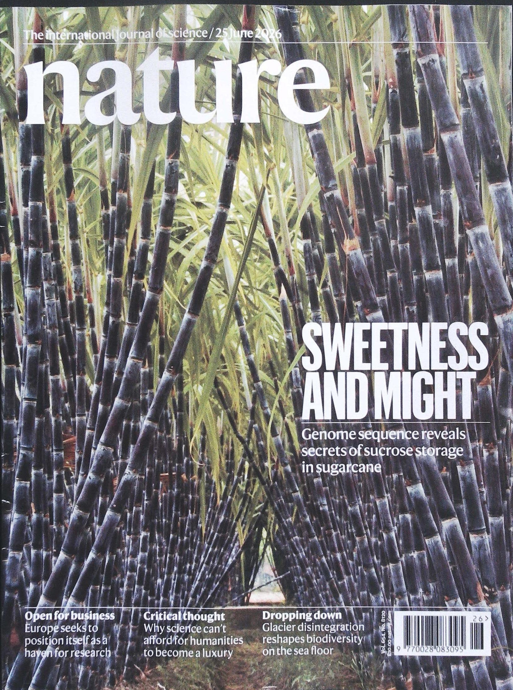 NATURE