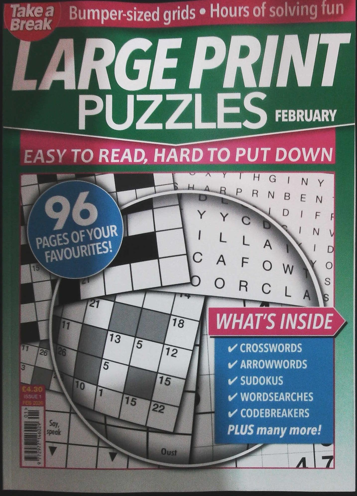 TAKE A BREAK LARGE PRINT PUZZLES