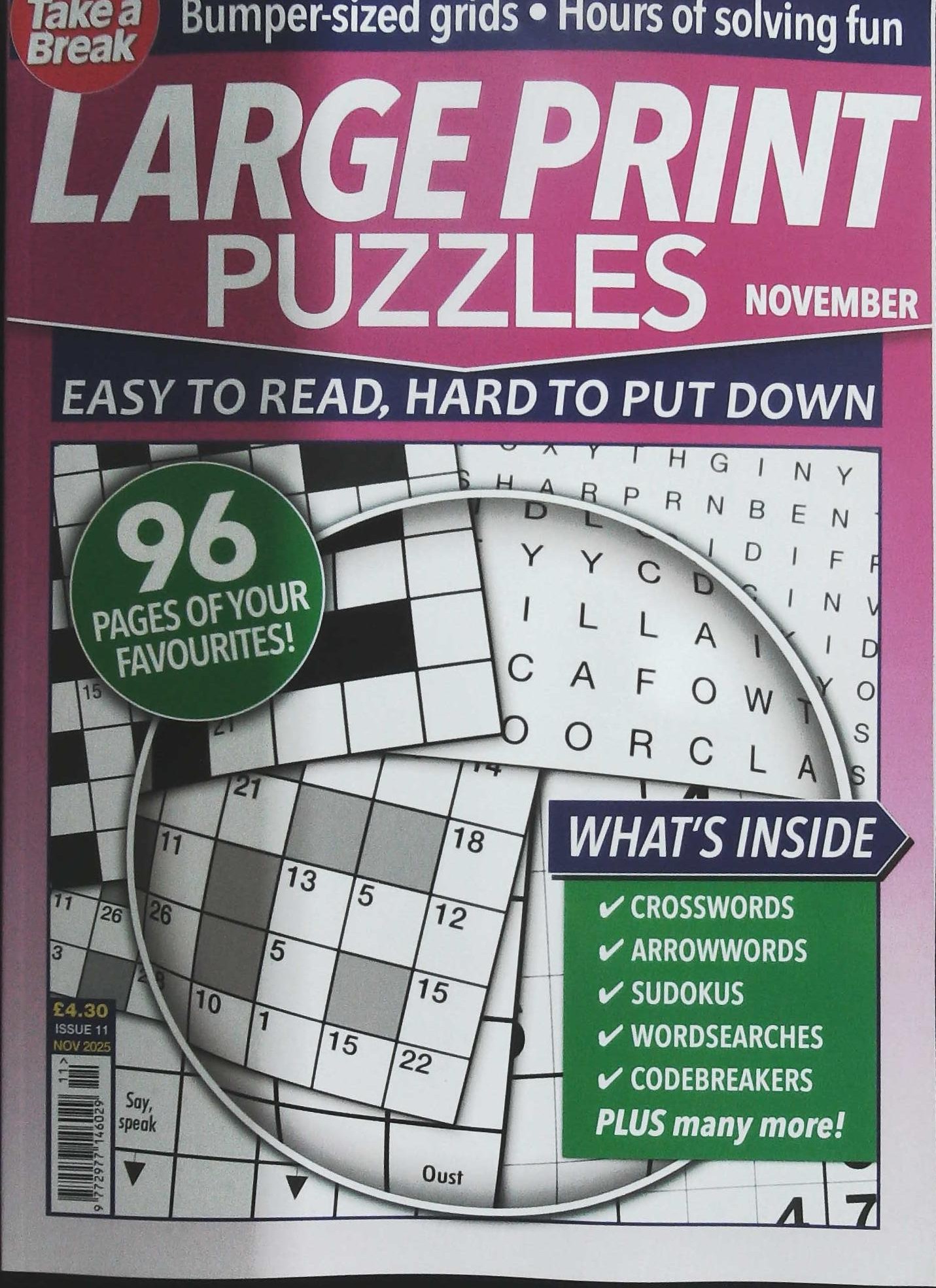 TAKE A BREAK LARGE PRINT PUZZLES